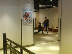 -一兆韦德健身