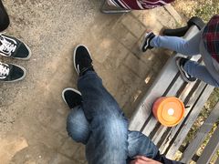 -永定河休闲森林公园