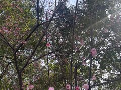 -四里河滨水生态公园