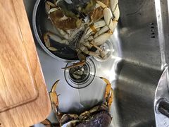 -盒马鲜生(大成店)