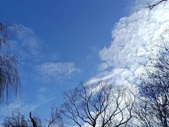 -莫愁湖公园