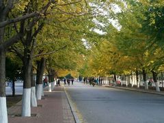 -辽宁大学(崇山校区)