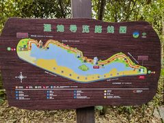 -华侨城湿地公园