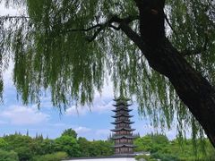 -上海方塔园