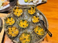 -月龍吟(朝龙汇店)