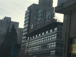 点击看大图 -首都医科大学附属北京儿童医院