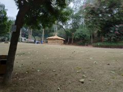 -南宁良凤江国家森林公园