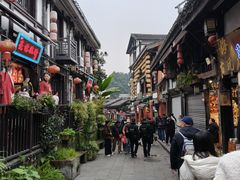 -陈建平麻花(磁器口总店)