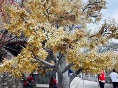 -九鼎铁刹山风景区