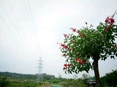 -那考河湿地公园
