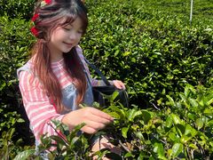 -趣飞飞黑麋峰国际滑翔伞基地