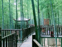 -陶祖圣境风景区