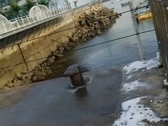 -银海大世界