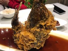 糖醋鲤鱼-城南往事·味道济南菜(金龙大厦店)