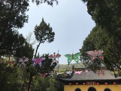 -无锡惠山寺