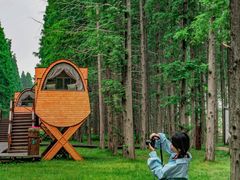 -黄海国家森林公园