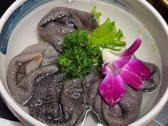 -蜀九香火锅(彩虹店)