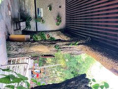 -蜈支洲岛珊瑚酒店临海阁中餐厅