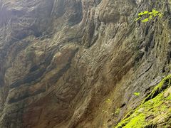 -牛背梁国家森林公园