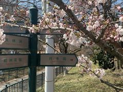 -青岛中山公园-索道售票处