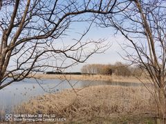 -同里国家湿地公园