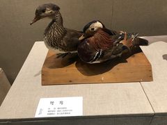-湖州博物馆