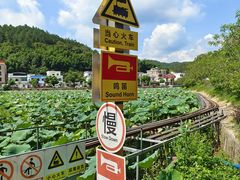 -红山村