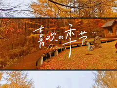 -关门山森林公园