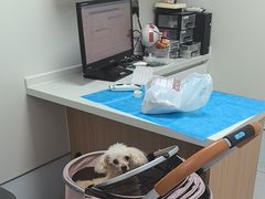 -达爱动物医院·犬猫分区·CT·复杂眼科(远洋山水分院)