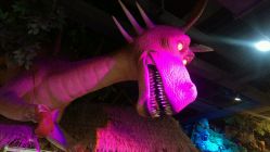 -卡通尼·Safari非洲探索乐园·生日会(金桥国际商业广场店)