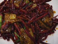 -院8里·少城记忆老川菜(宽窄巷子店)