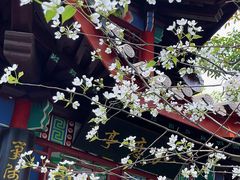 -南汇桃花村