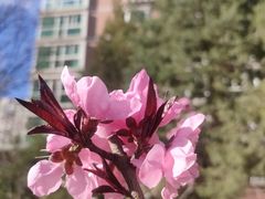 -味多美蛋糕(阜成门店)