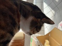 -新荟城(望京店)