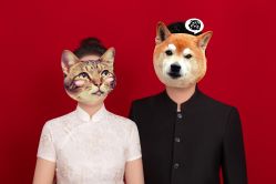 -蜜柚映画婚纱摄影(双井店)