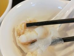招牌虾饺皇-添运来(茶园奥园广场店)