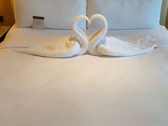-澳门威尼斯人综合度假区
