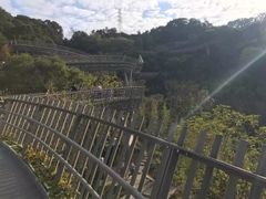 -梅峰山地公园
