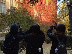 -辽宁大学(崇山校区)