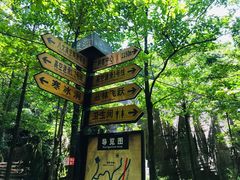 -梦幻奥陶纪景区