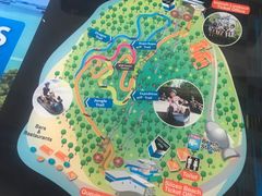 -圣淘沙天际线斜坡滑车