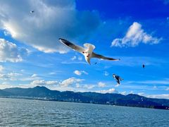 -海埂大坝