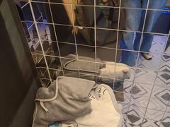 -Y&Y创意真人密室逃脱馆(人民广场步行街店)