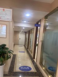 -碧莲盛·不剃发植发