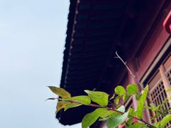 -南京市无想山景区