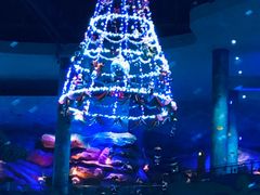 -青岛嘉年华主题乐园