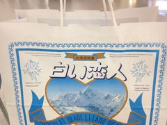 -关西国际机场直营免税店