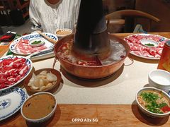 -东镇老火锅(长春路首店)