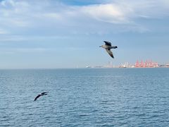 -威海国际海水浴场旅游区