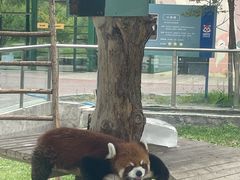 -水上乐园·欢乐世界